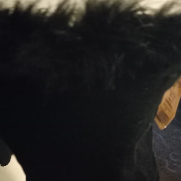 Used,not new,never worn,with original tags black velvet  marboa camisole size m. - Picture 3 of 3